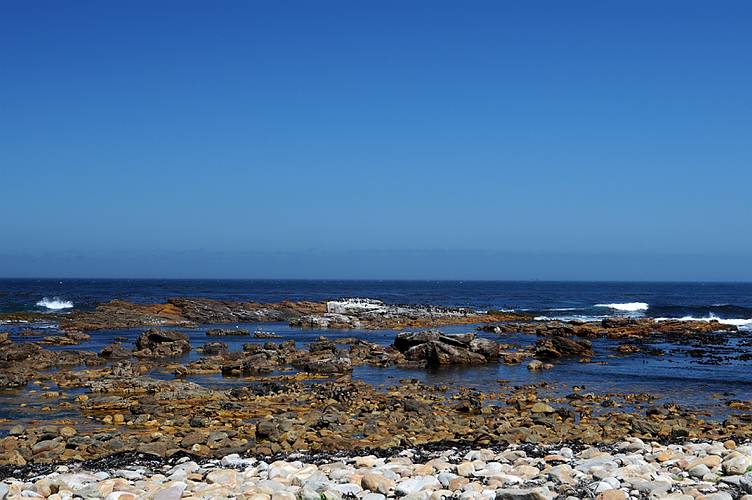 06-cape point_034